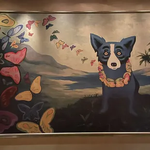 Blue dog s