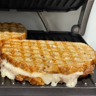 Panini