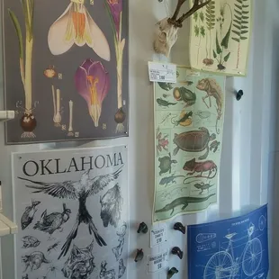 Yep, you guessed it, even more science.