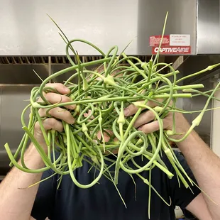 Farm fresh garlic scapes with Chef Jamie
