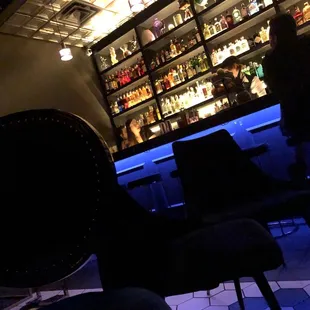 Interior secret bar