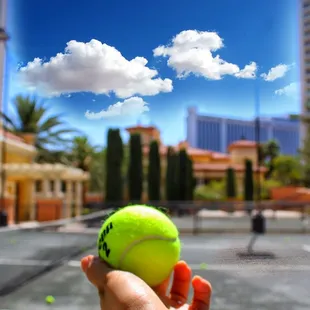 a person holding a tennis ball