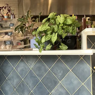 Greenery!