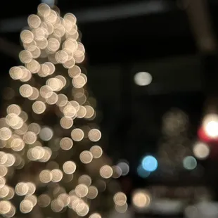 a lighted christmas tree