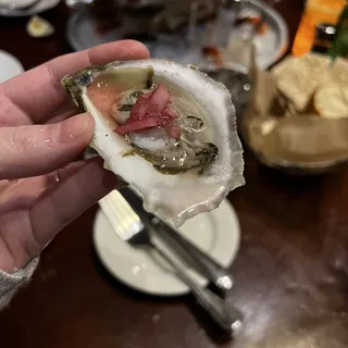 6 East Coast Oysters