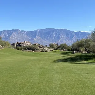 7th hole looking back at the tee