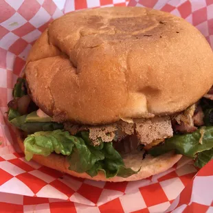 "Stonehouse Slammer"