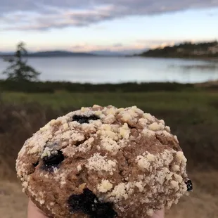 Blueberry Bran