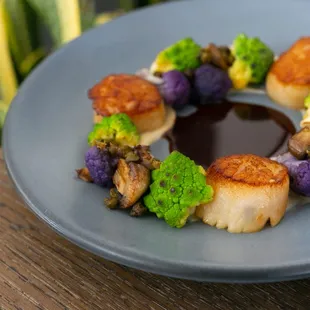 Scallops