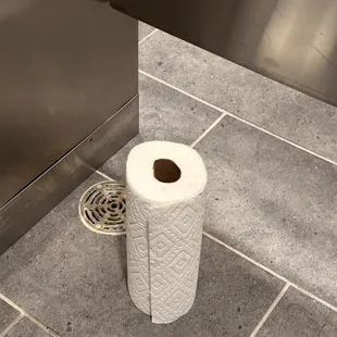 No toilet paper in the lady's room