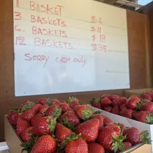 The Strawberry Patch