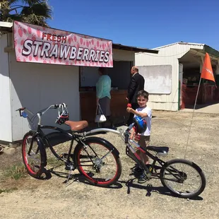 Big strawberries...from a guys perspective.