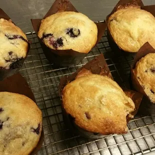 Scratch made blueberry muffins! The best of your life!