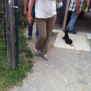 Oh look, the dog is just outside the kitchen.