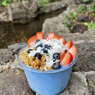 Blue bowl medium (SO GOOD)