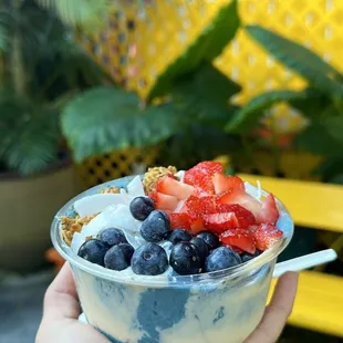a person holding a bowl of fruit