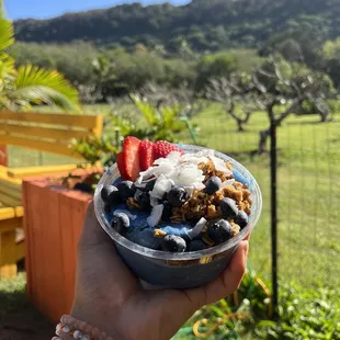 a person holding a bowl of fruit and yogurt