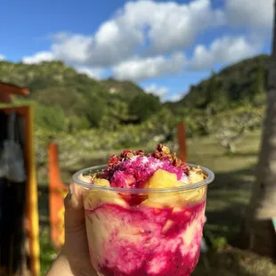 Tropical Bowl "Taste of Hawaii"