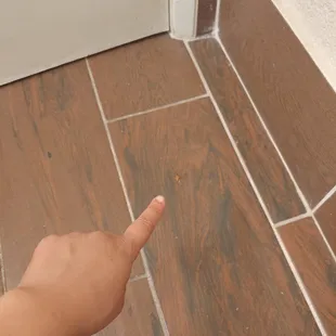 Cockroach I had to kill in the bathroom (2)