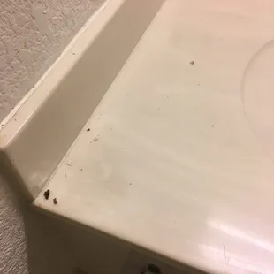 Recently deceased bugs and their poop on the sink. R.I.P