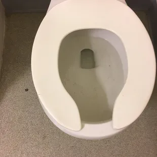 Disgusting toilet and floor.