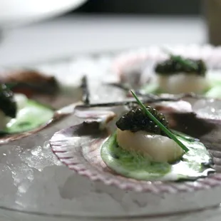 Bay Scallop Crudo