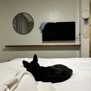 The best view from the bed of a one-bedroom suite.