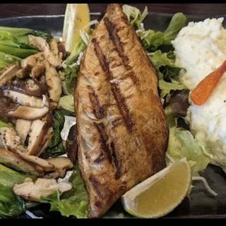 Norwegian Mackerel