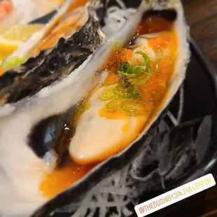 fresh oyster