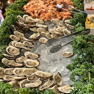 Yes!!! I was told oysters were Eastern Shore. Everything tastes fresh and delicious!