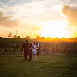 Sunset in the vineyard at The Sycamore at Mallow Run