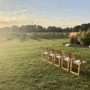 Outdoors by the vineyard