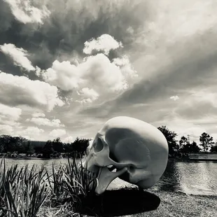 skull sculpture