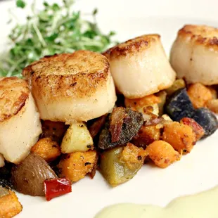 Scallops