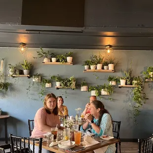 Debating whether those plants are real or not.