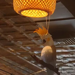 Hanging with my paper bird at "Sidecar!"