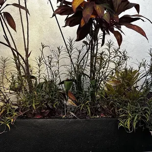 Unsightly dinning view, one of many