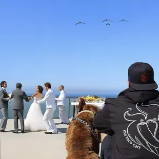 Our venues include, outdoors, indoors and fun places making your event an unforgettable one!