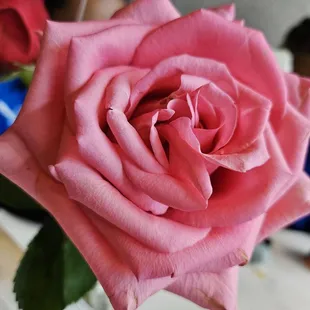 Beautiful table decor