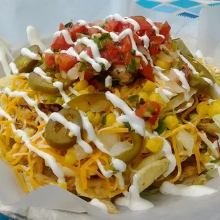 Fully Loaded Nachos