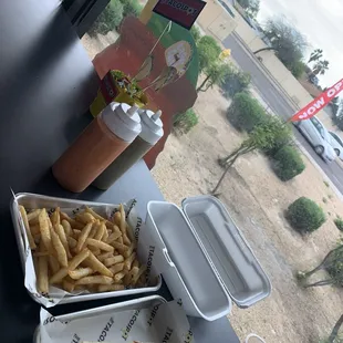 Carne asada + fries