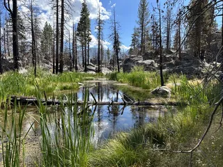 Mono Hot Springs Resort