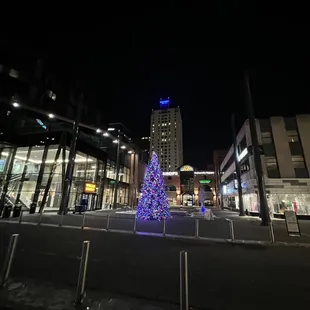 a christmas tree in the foreground