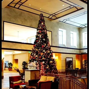 Christmas tree in the hotel lobby.