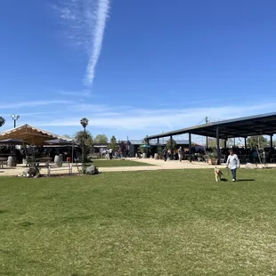 people in a park with a carousel in the background
