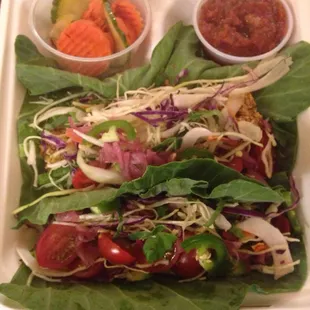 Raw Vegan Course