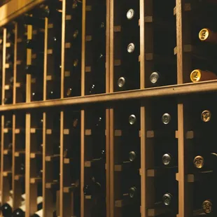 rows of wine bottles