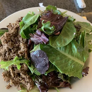 Mixed Green Salad with Barbacoa meat added