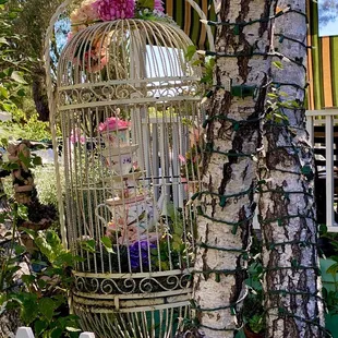 Eclectic Decor at the Tea House