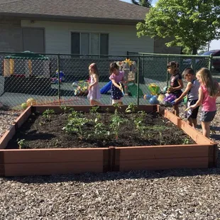 We use rainwater to water our plants. The kids really love using squirt sticks to watch the plants.